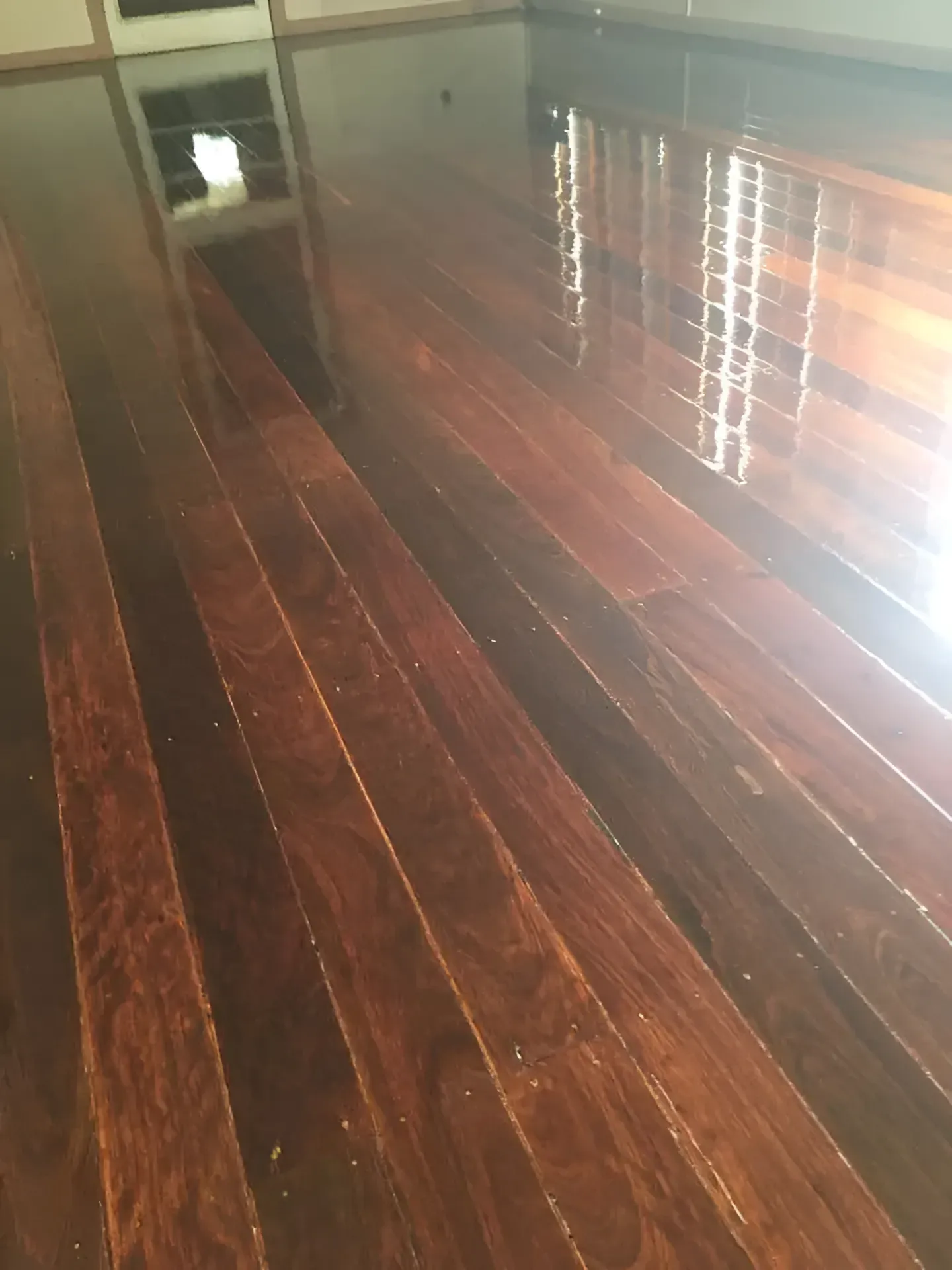 Shiny Dark Brown Hardwood Floor Reflecting Light and Window — Toowoomba Polished Floors in Gatton, QLD