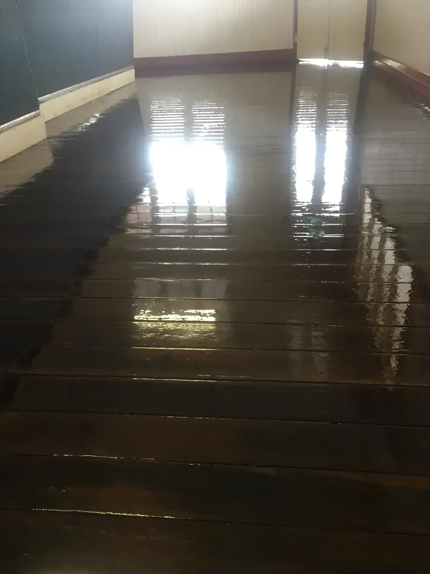 Wooden Staircase with Shiny Reflective Surface Toward a Bright Window — Toowoomba Polished Floors in Oakey, QLD