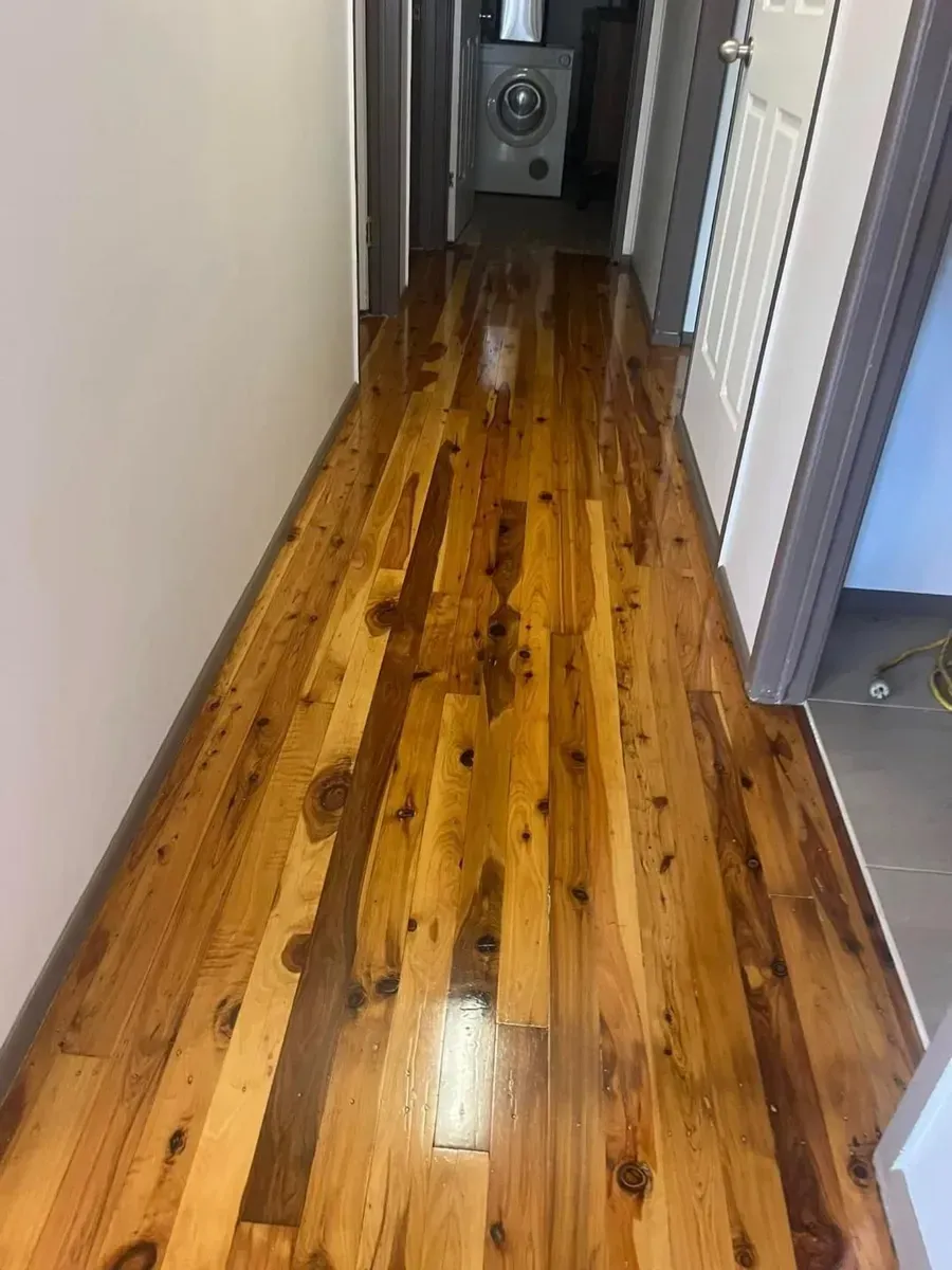 Wooden floor hallway with a glossy finish. Leads towards a laundry area. — Toowoomba Polished Floors in Oakey, QLD