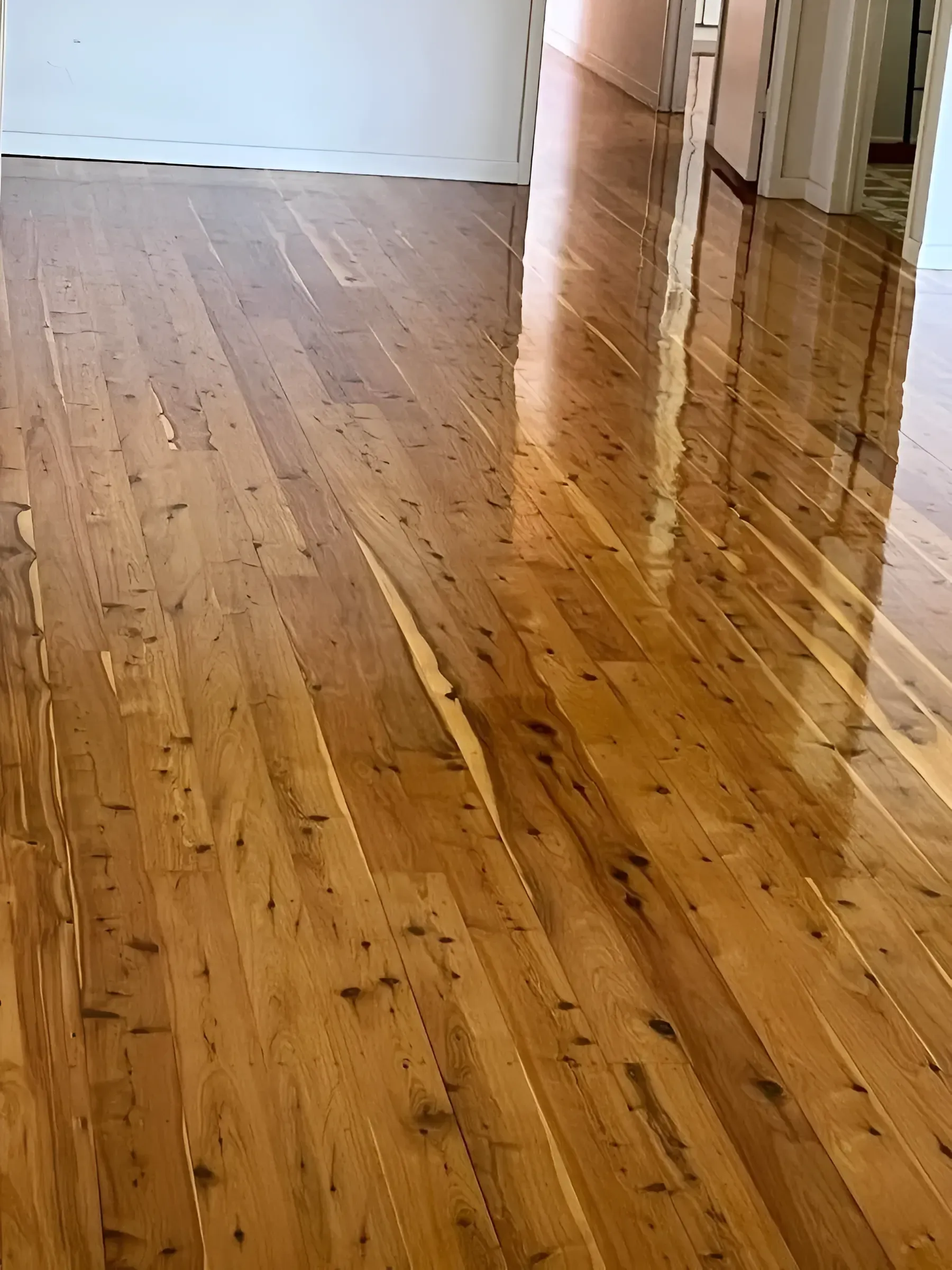 Wooden Floorboards with Glossy Finish Reflecting the Light — Toowoomba Polished Floors in Murphy's Creek, QLD