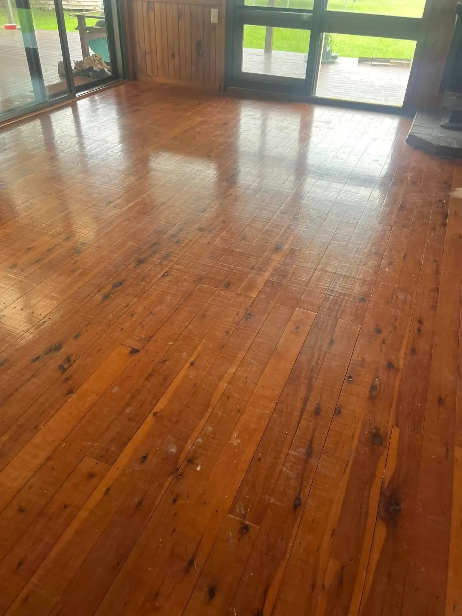Polished wooden floor in a room, reflecting light. Doors and outdoor view in background. — Toowoomba Polished Floors in Gatton, QLD