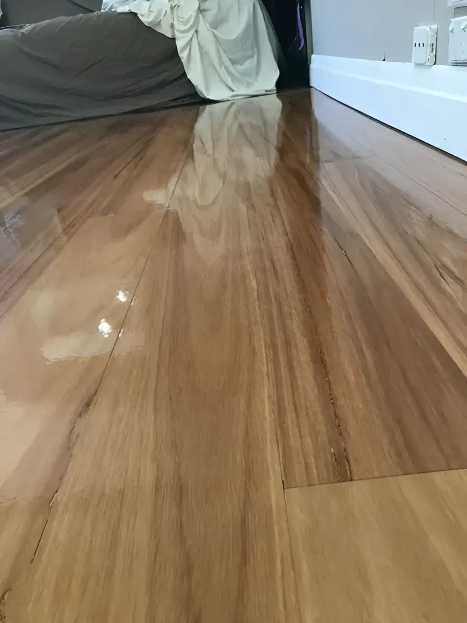 Polished Wooden Floor Reflecting Natural Light — Toowoomba Polished Floors in Dalby, QLD