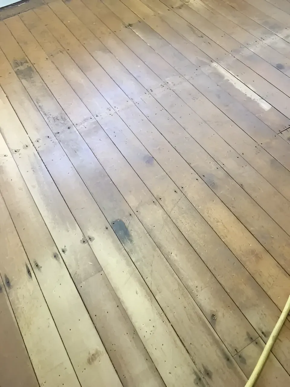 Light-Colored Wood Floor with Visible Gaps Between the Planks — Toowoomba Polished Floors in Toowoomba, QLD