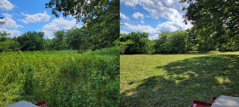 A before and after picture of a field with trees in the background.