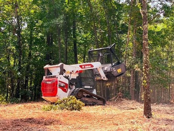 A bulldozer is cutting down trees in the woods.