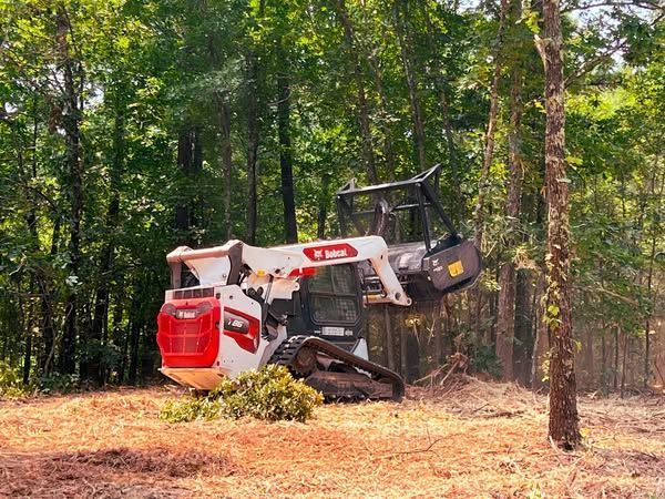 A bulldozer is cutting down trees in the woods.