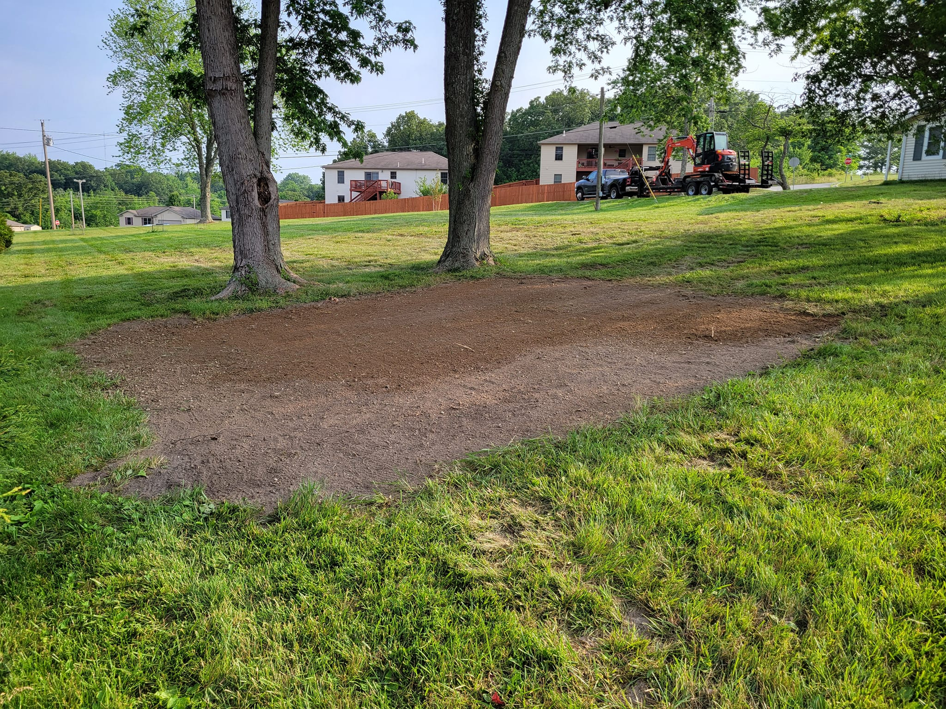 There is a lot of dry grass in the middle of the forest.