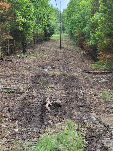 A dirt road in the middle of a forest with trees on both sides.