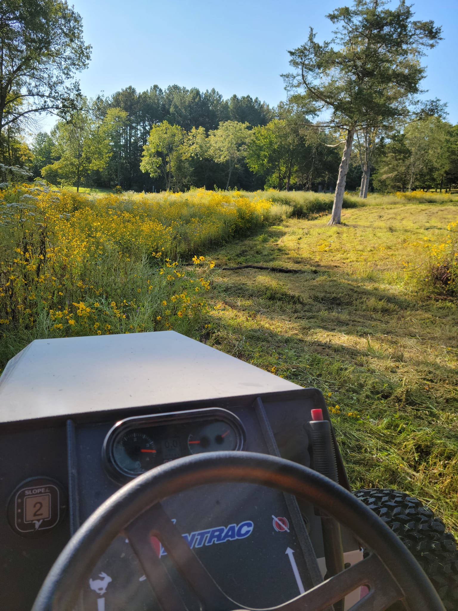 A person is driving a tractor through a field of flowers.