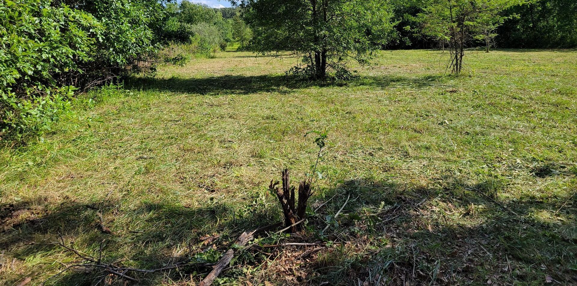 A large grassy field with trees in the background.