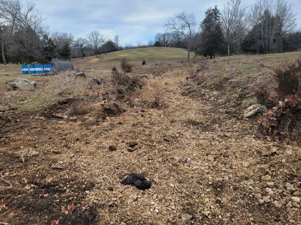 A dirt road going through a field with trees in the background.