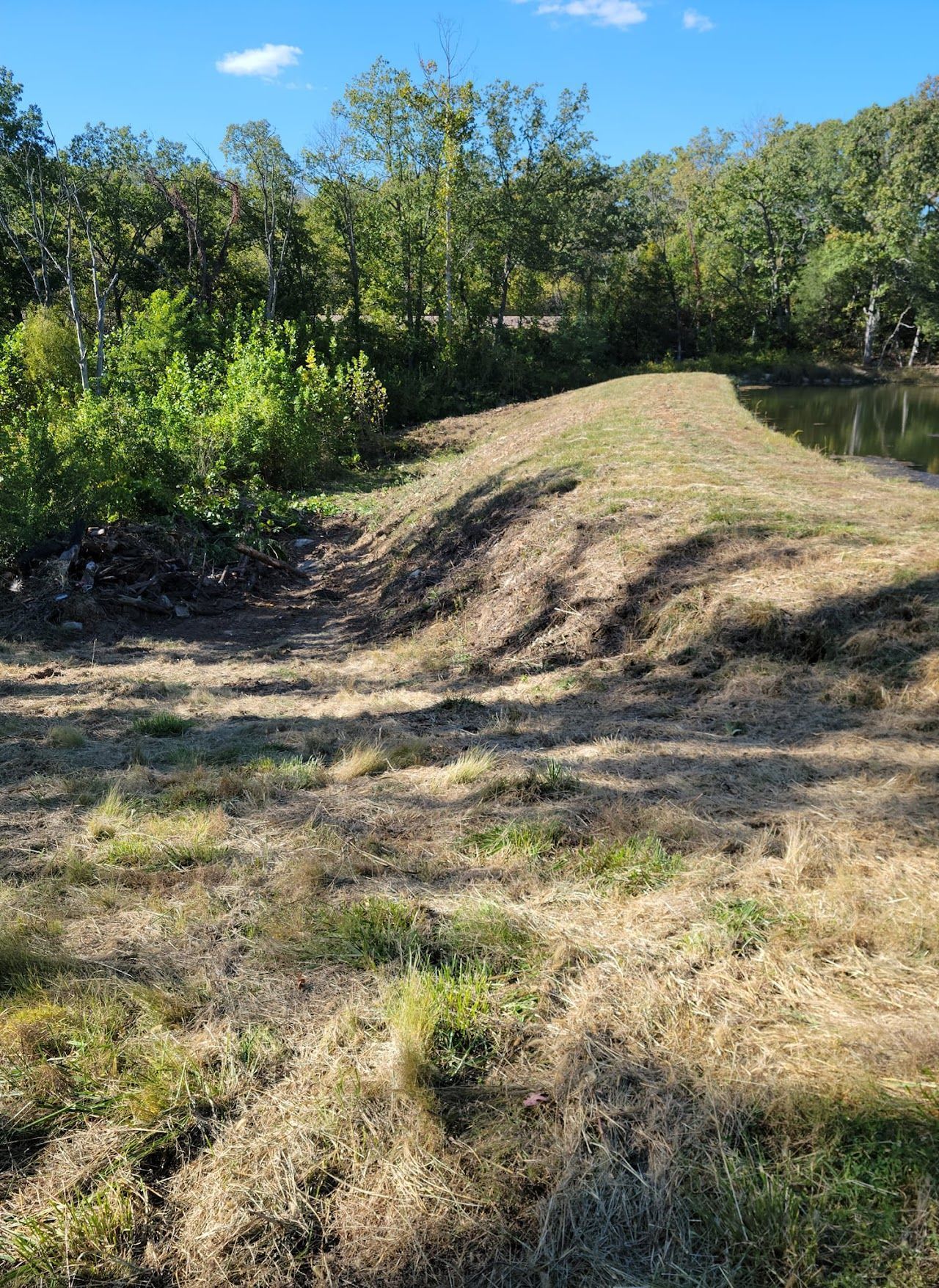 A grassy hillside next to a body of water surrounded by trees.
