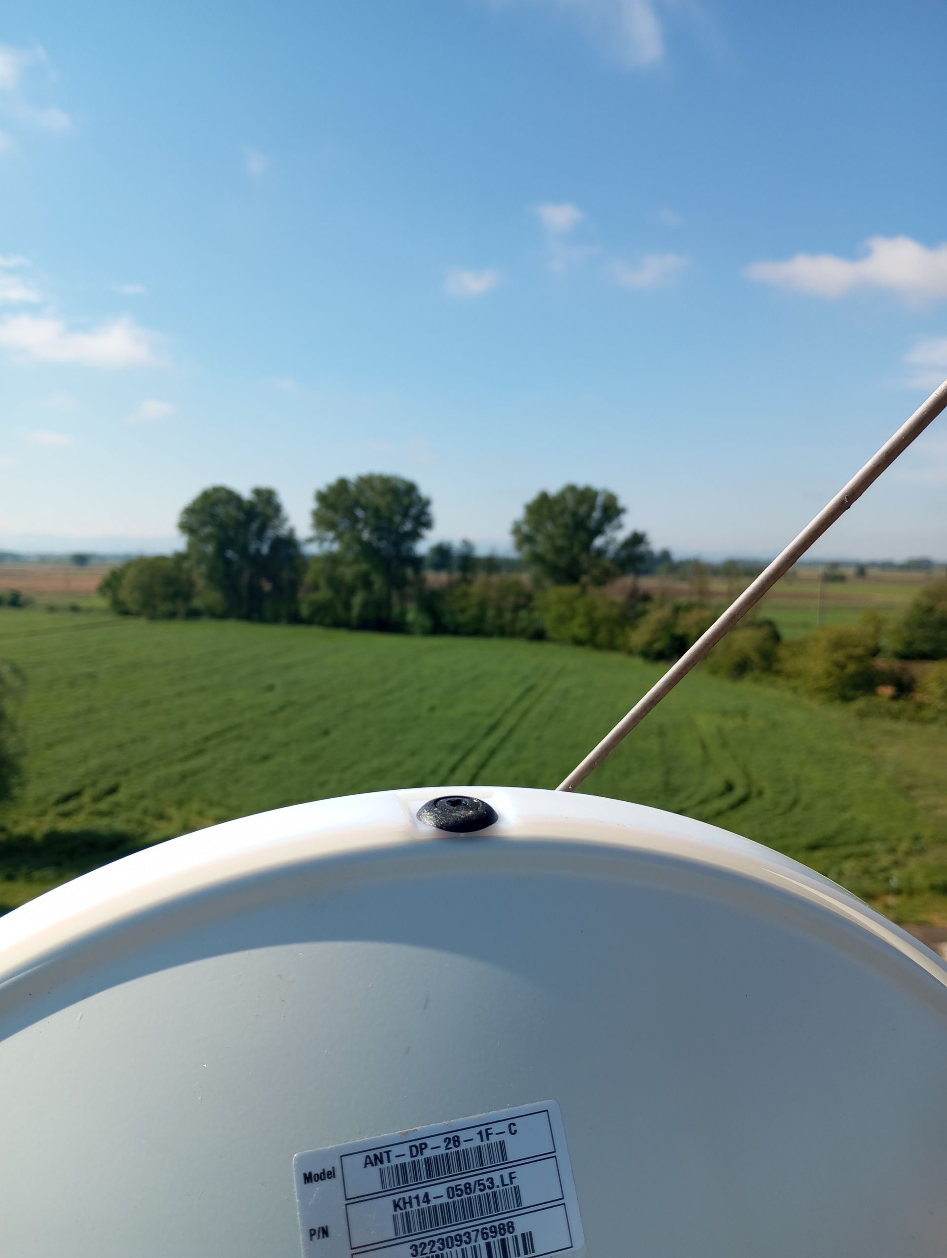 Vista di un campo verde e di alberi sotto un cielo azzurro, da un punto elevato con un piatto bianco in primo piano.