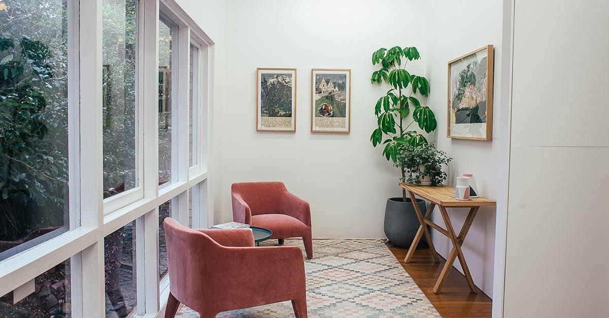 A living room with two chairs , a table , and a plant.