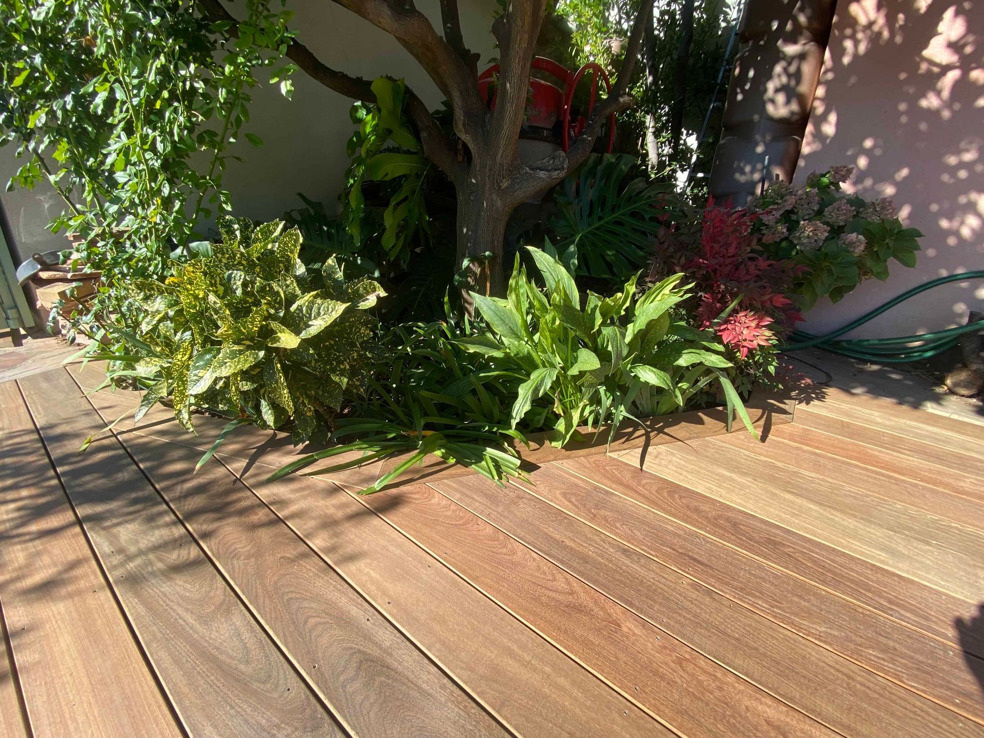Une terrasse en bois avec des plantes et un arbre en arrière-plan.