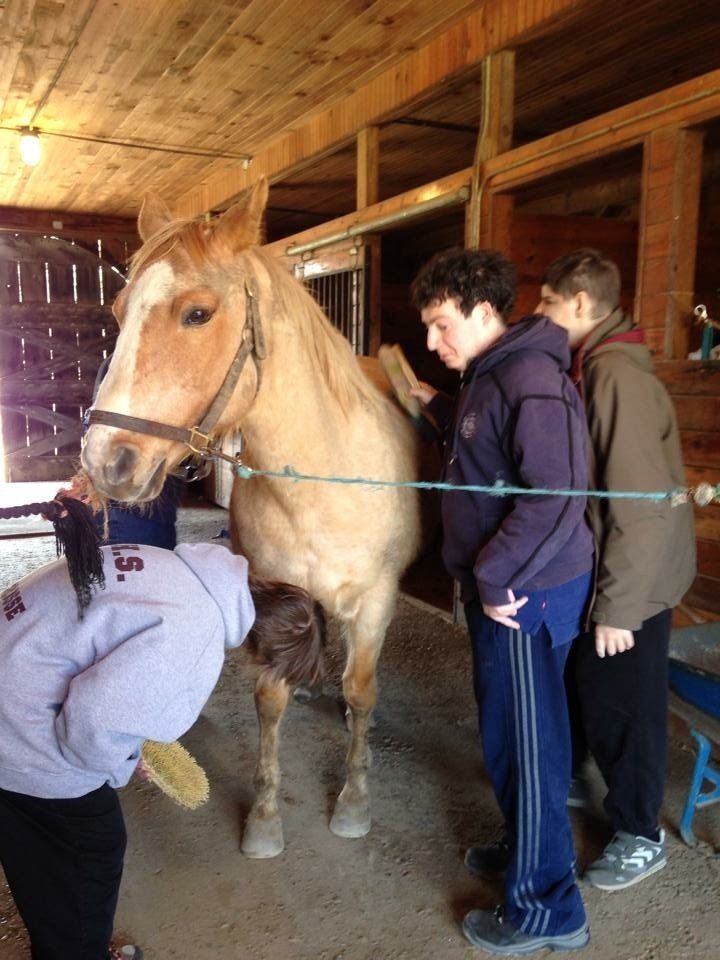 Photo: horse & rider in barn