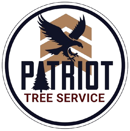 Logo: Black eagle, geometric brown shape, text "PATRIOT TREE SERVICE" in navy and maroon, surrounded by a navy and white circle.