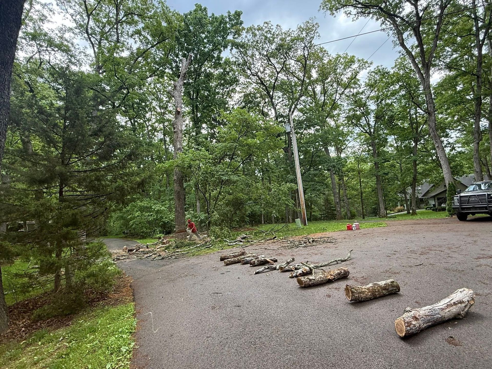 Tree debris on driveway; forest in background with a car parked to the right.