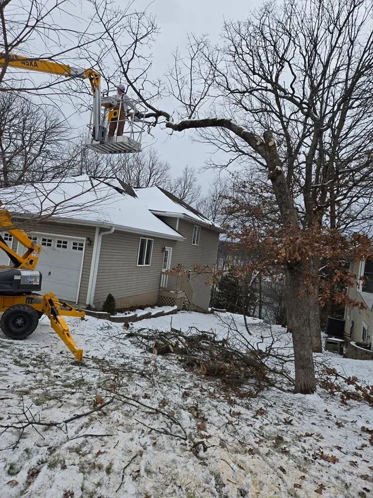 A worker in a lift trims a tree branch next to a house with a snowy yard.
