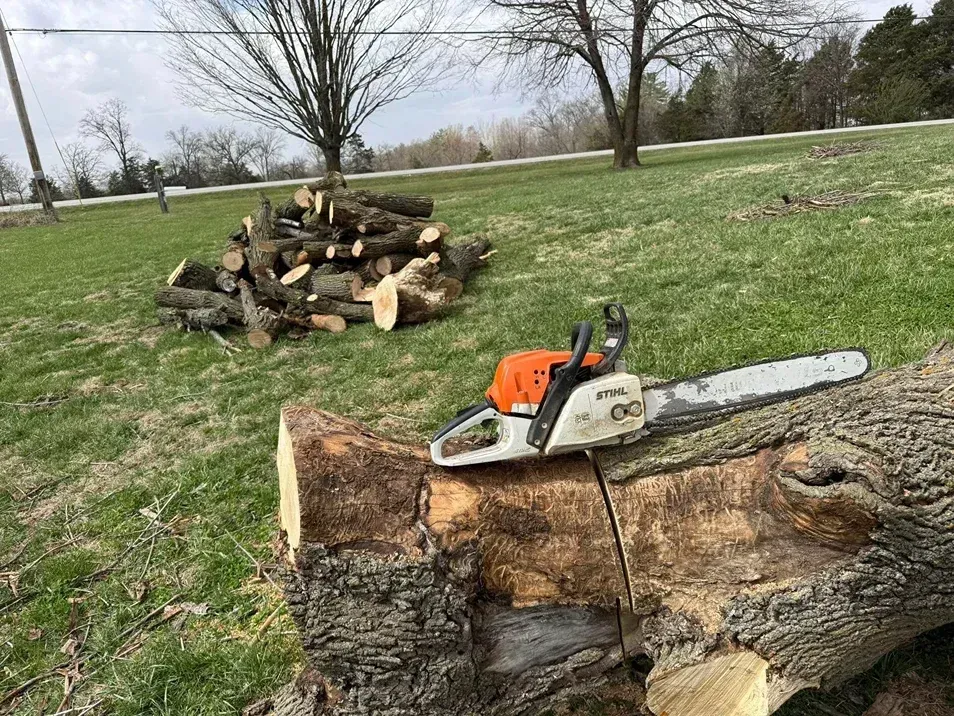 Chainsaw cutting a log outdoors, with a pile of split logs nearby on green grass.
