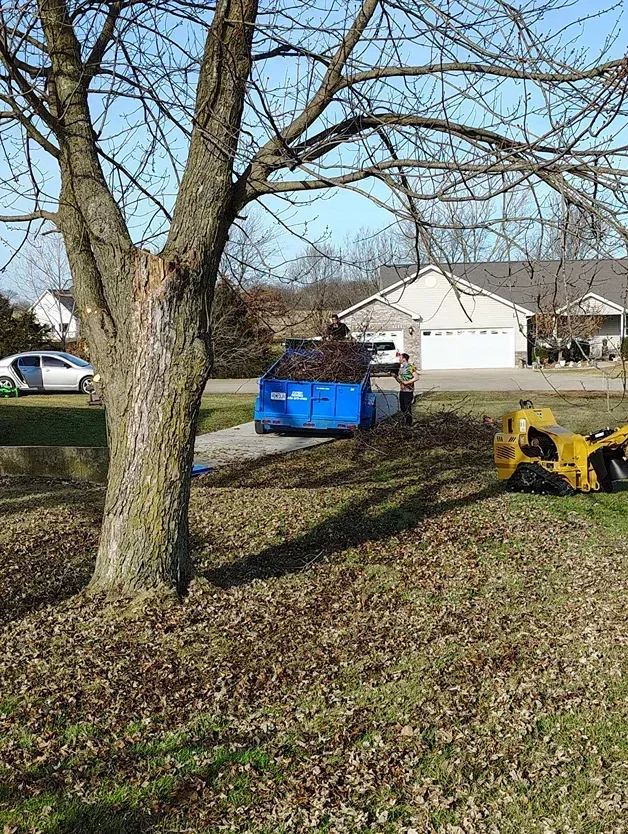 Tree with damage next to blue dumpster on a driveway, small yellow construction equipment in the yard, house in background.