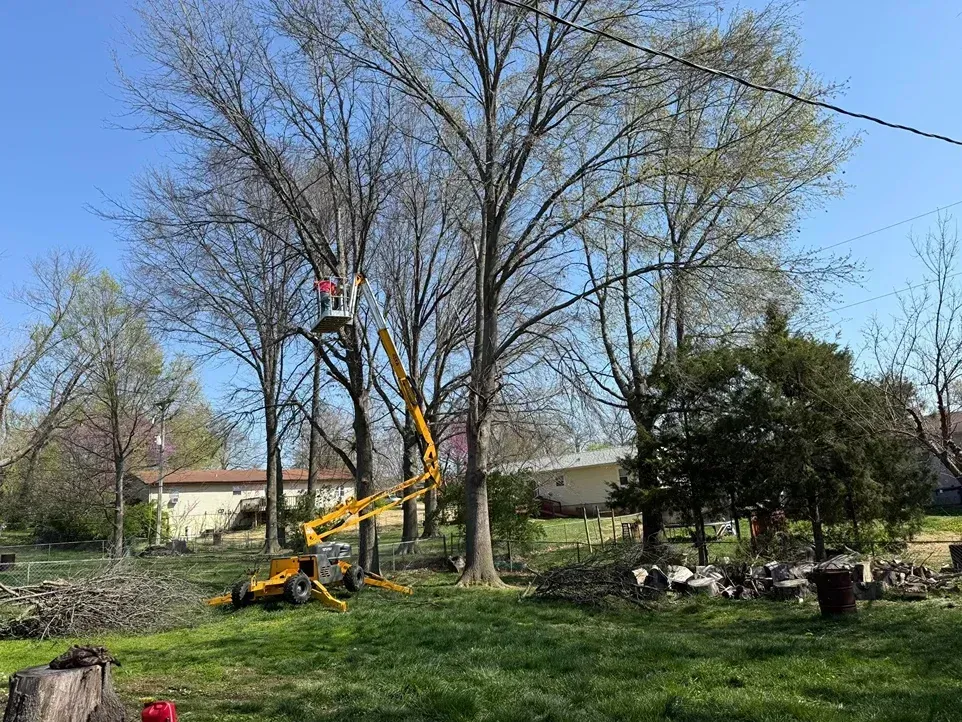 A tree service worker in a lift basket is trimming a tall tree in a residential yard.
