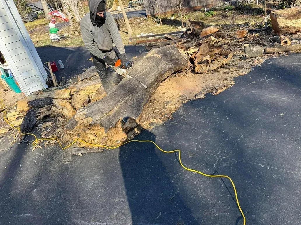 Person using a chainsaw to cut a log on a dark surface outdoors. Sawdust and debris surround the log.