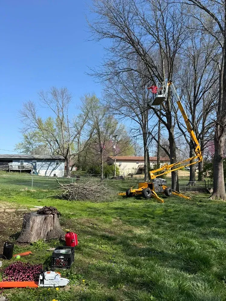 Tree trimming in progress: a worker in a lift basket, yellow machinery, and felled branches in a grassy yard.