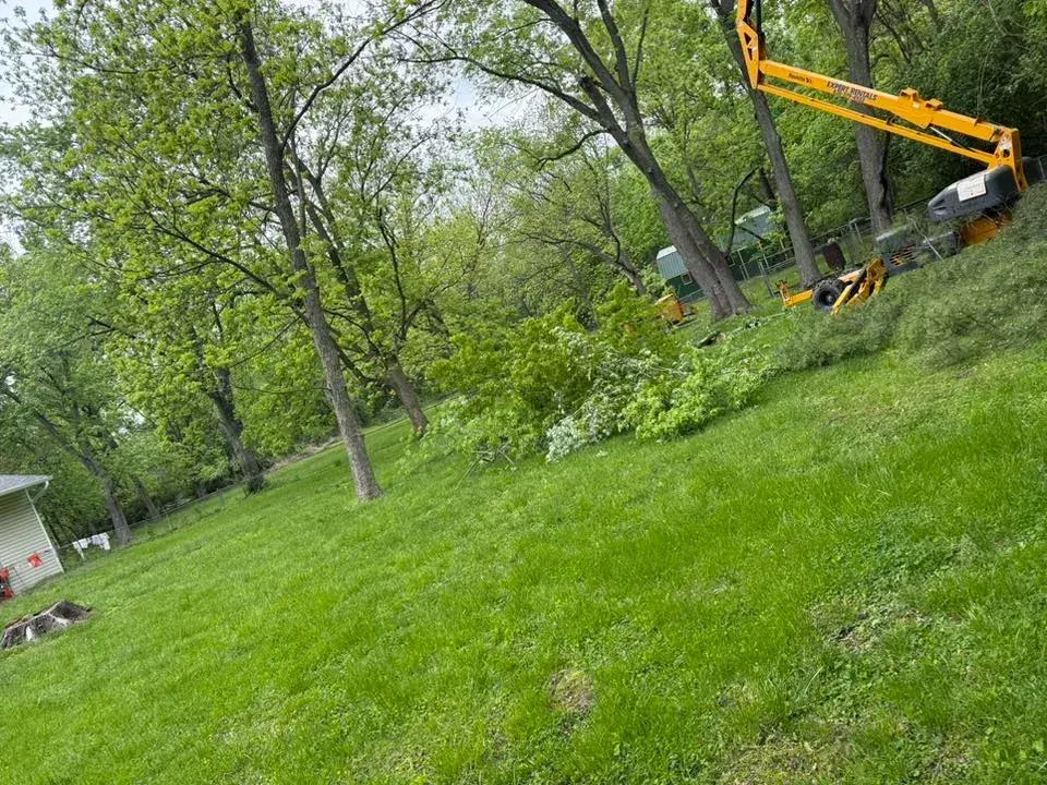 A yellow lift trimming trees on a green grassy hill.