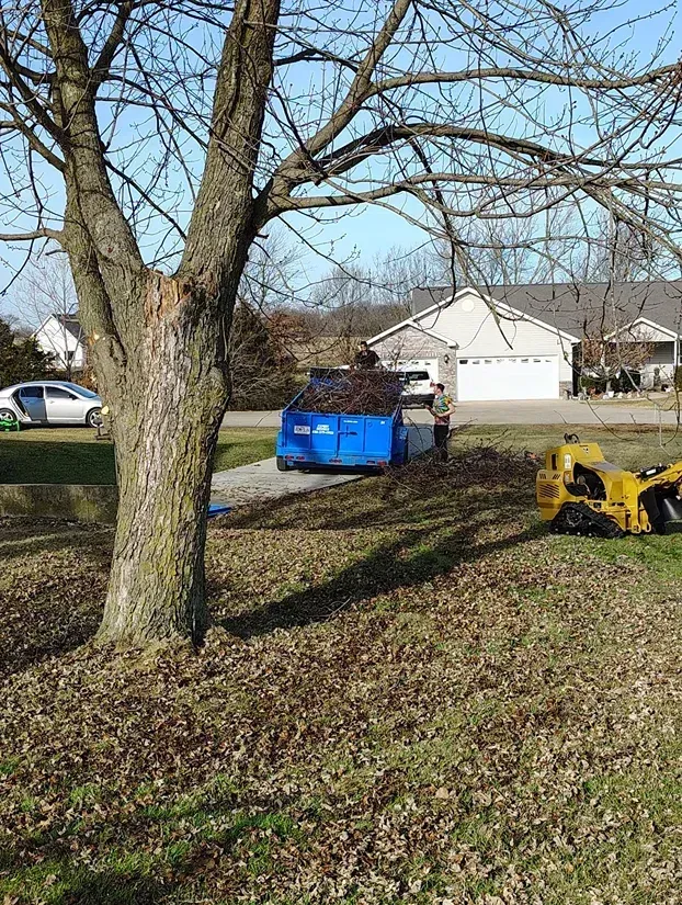 A blue dumpster near a tree and a stump grinder on a residential lawn, leaves scattered.