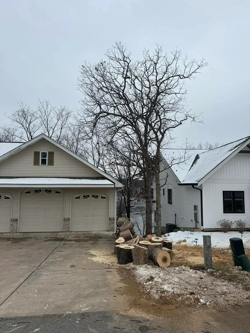 Houses with snow-covered roofs, a tree being cut down. Logs and wood chips on the ground. Overcast day.