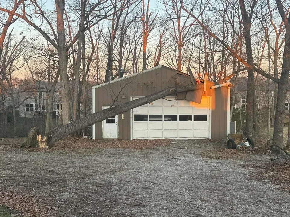 Tree fallen onto a garage, damaging the roof and door. Dusk setting with leafless trees.