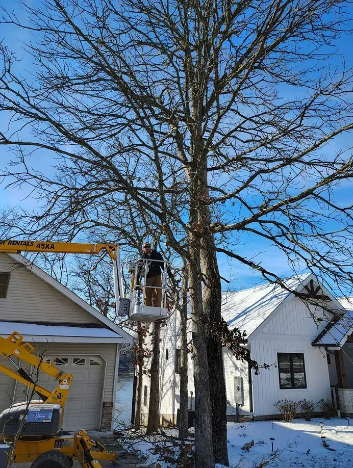 Person in a lift trimming a tall tree in a snowy residential area. Blue sky, white houses, yellow lift.