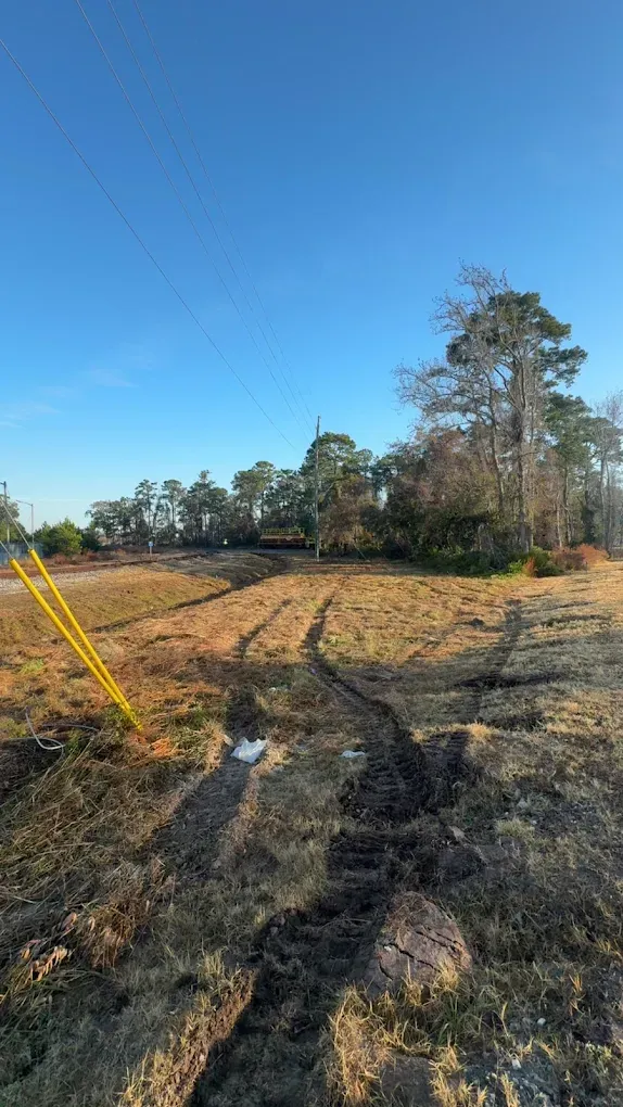 Rural dirt path with utility poles, tire tracks, and trees under a clear blue sky.