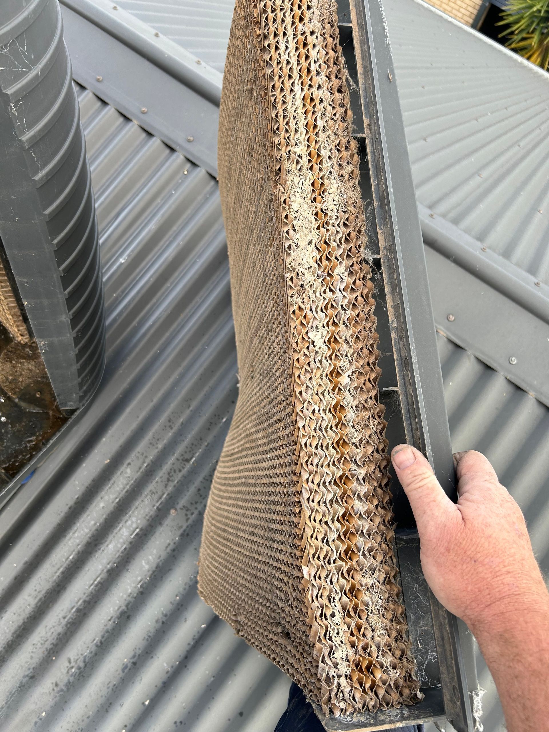 Cooler Pad — Bendigo, VIC — Evolve Heating and Cooling