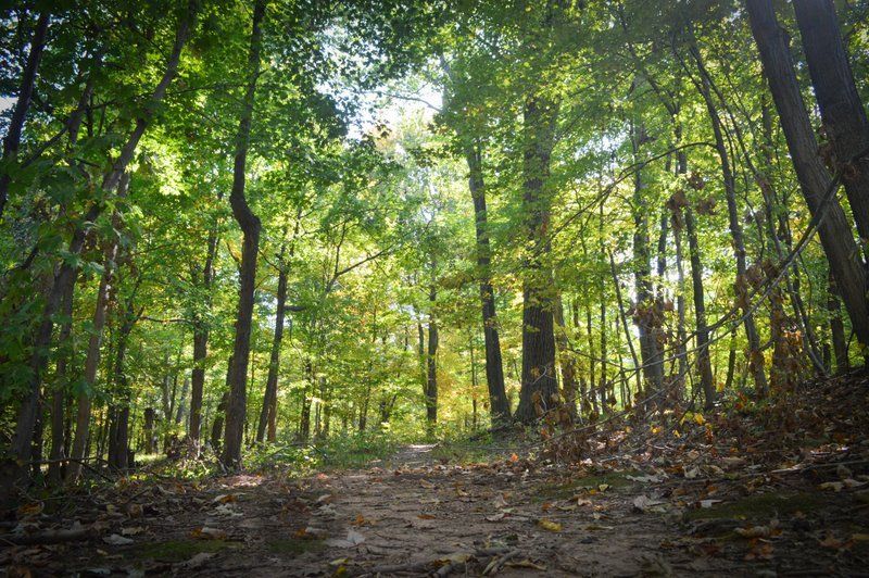 Parkville Apartments Aspen Management