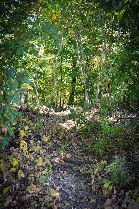 Parkville Apartments Aspen Management