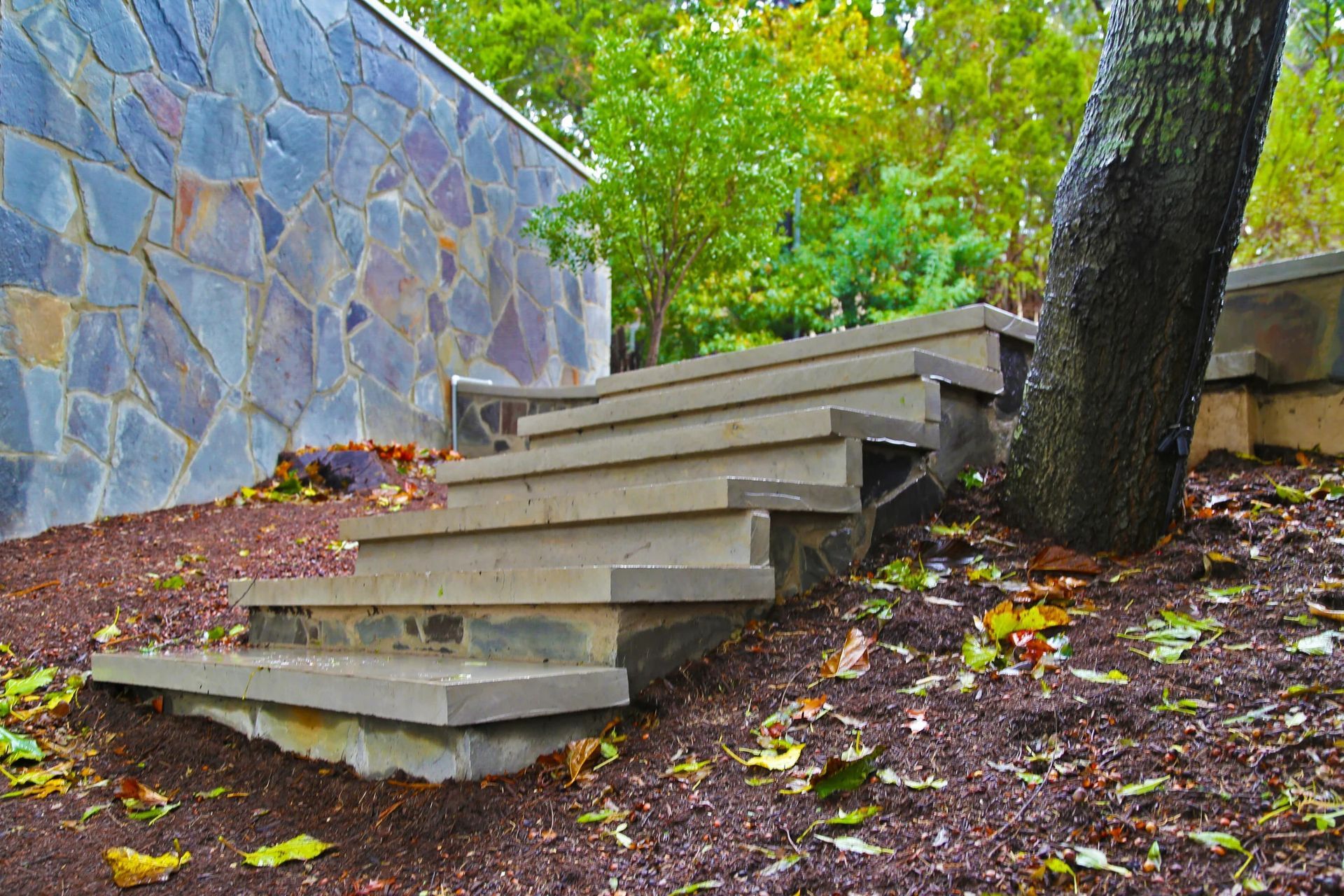 Concrete steps leading up a slope, next to a tree and stone wall, surrounded by brown mulch and leaves.