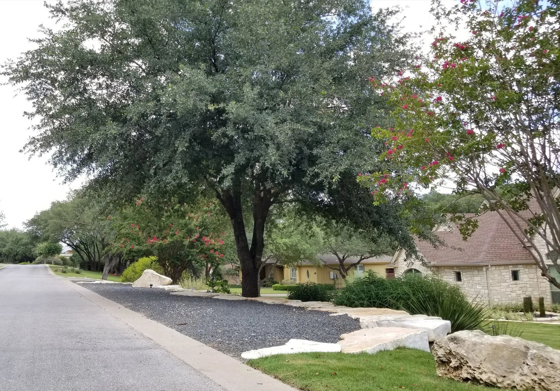 Street with large tree, black gravel landscaping, and houses with stone and red tiled roofs.