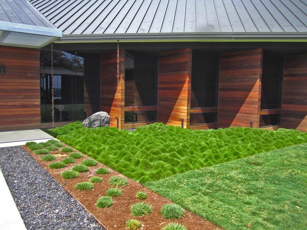 Exterior view of a modern building with wood siding and a green ground cover in front.