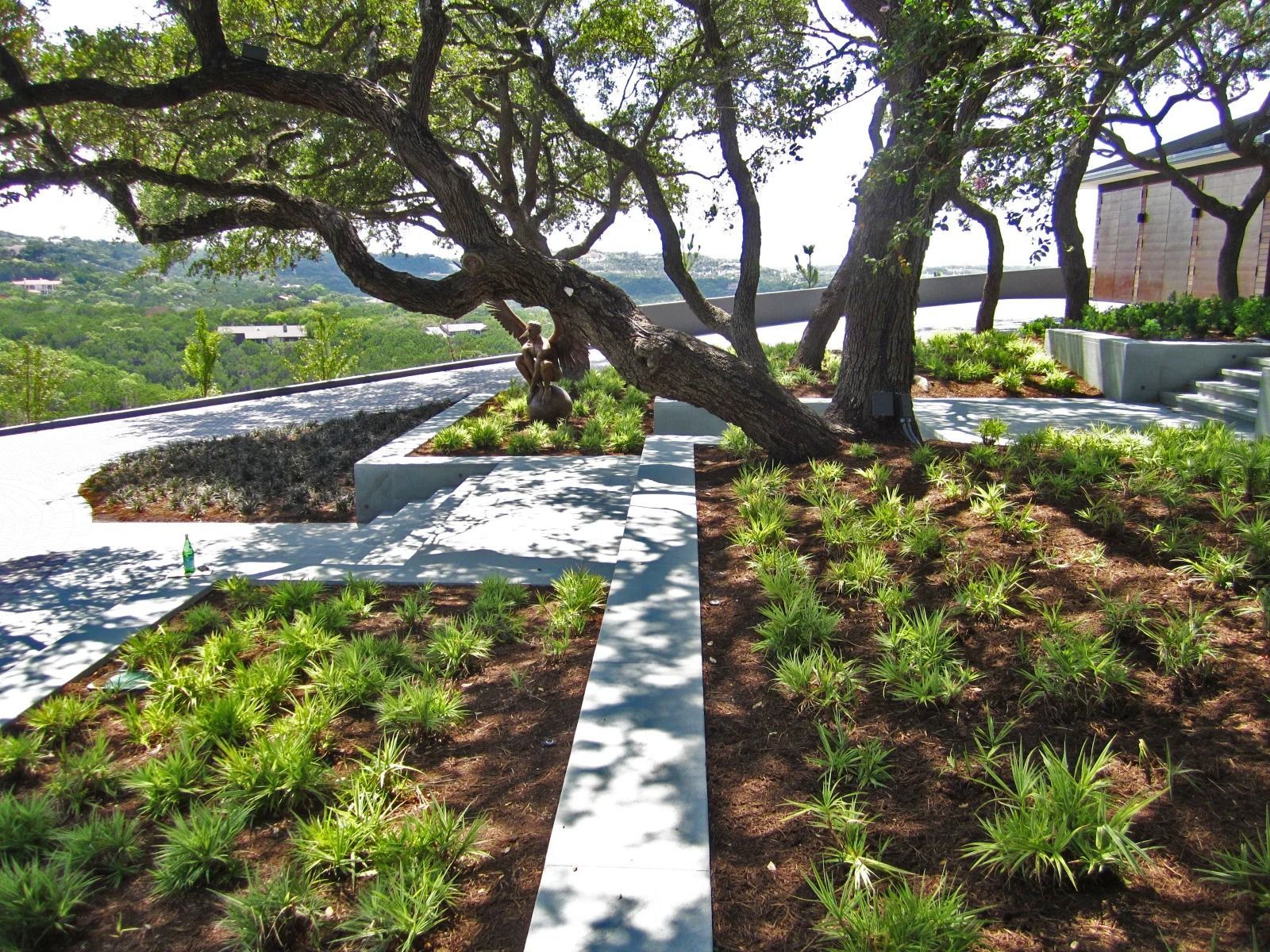Concrete path through landscaped yard with trees, green plants, and building in the background.