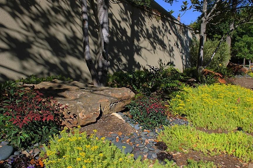 Stone and colorful plants in a garden setting, with a concrete wall and tree shadows in the background.