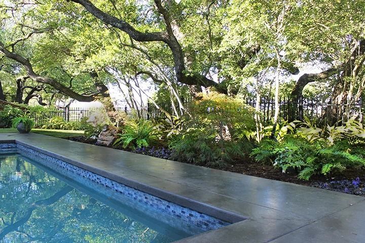 Poolside view with lush green landscaping under large, mature trees.