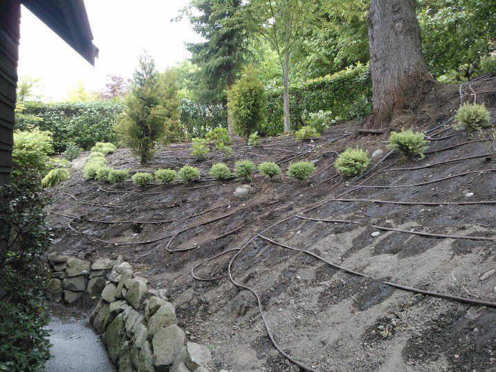 h2oRx Sprinkler Repair 1