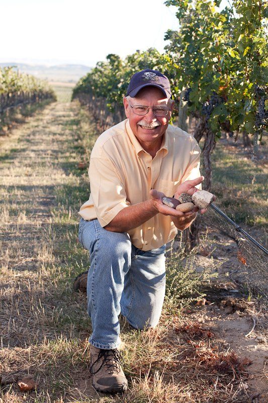 Hugh Shiels, Vineyard master posing near his vines holding the rocks that give his grapes their unique character