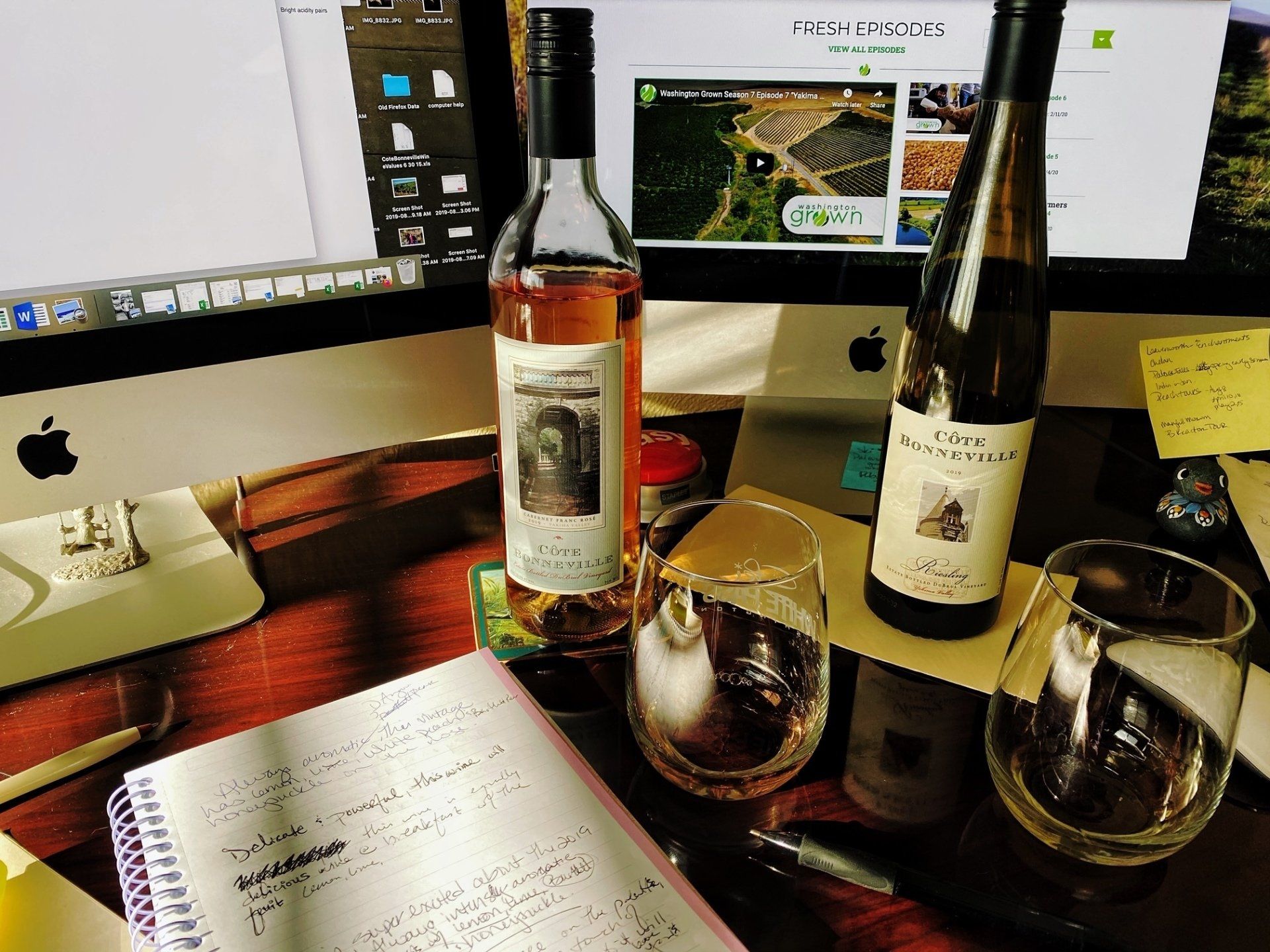 Rosé and Riesling tasting notes being written