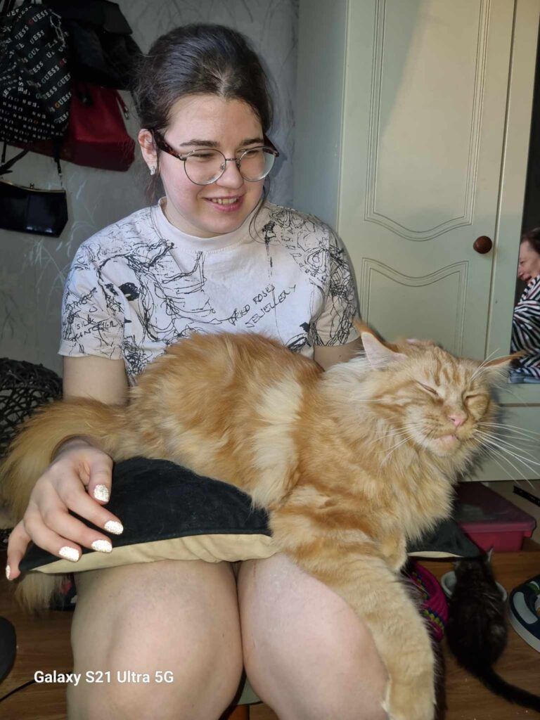 Coon cats for sale, Maine coon cats for sale in the uk