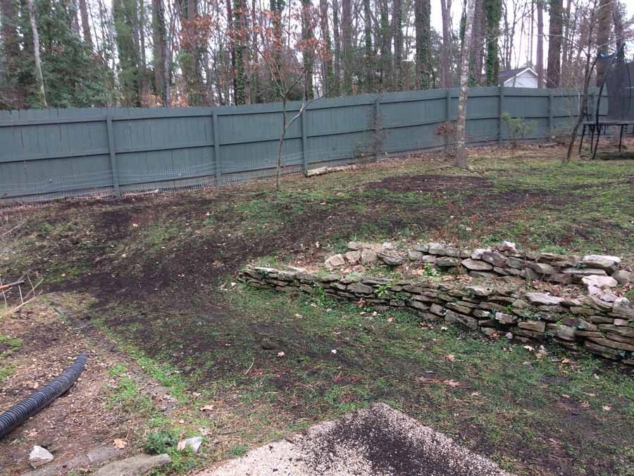 Newly Cleared Backyard