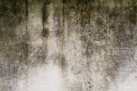 a close up of a concrete wall with a lot of stains on it .
