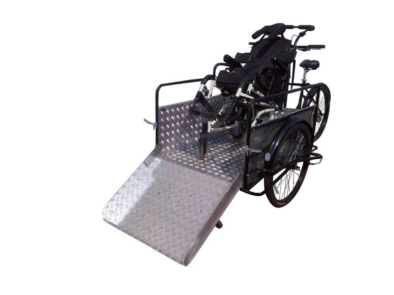 Cargo Bike Triciclo elettrico per trasporto persone disabili su sedia a rotelle carrozzella